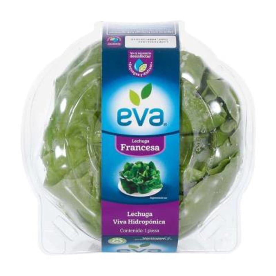 Lechuga Francesa Hidroponica Eva 1.0 Pza