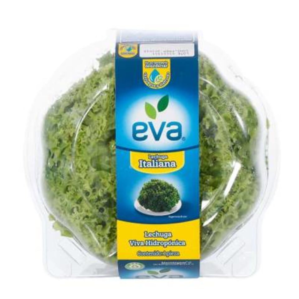 Lechuga Italiana Eva Clam 1.0 Pza