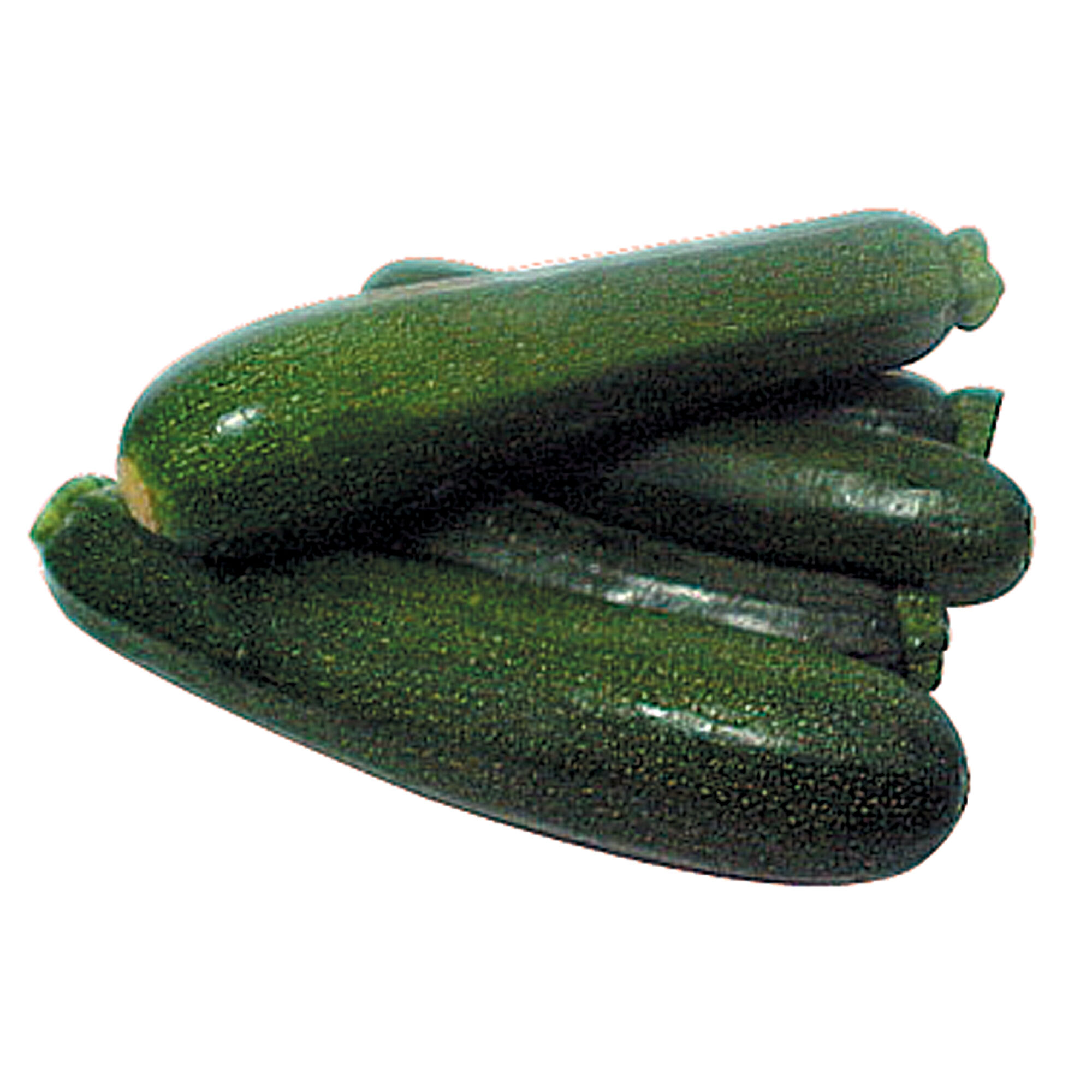 Calabacita Italiana S/marca 1.0 Kg