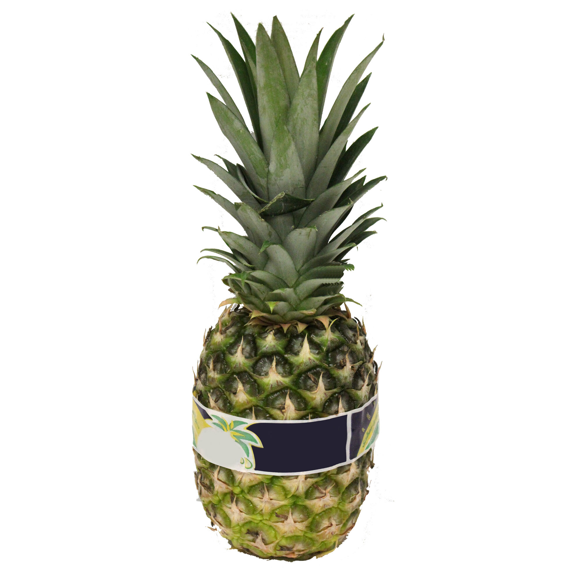 Piña Miel S Marca 1 0 Kg