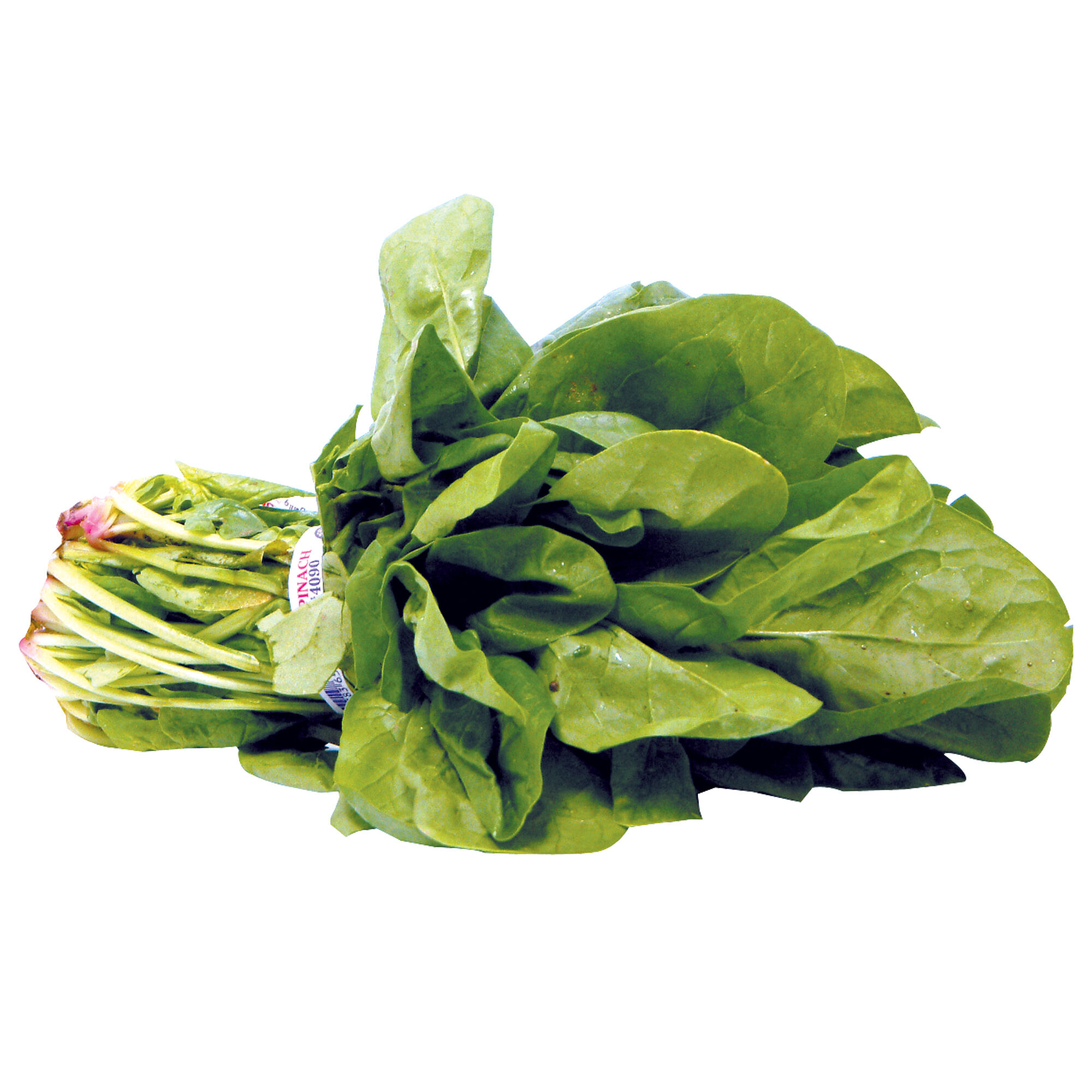Espinaca Fresca S/marca 1.0 Pza