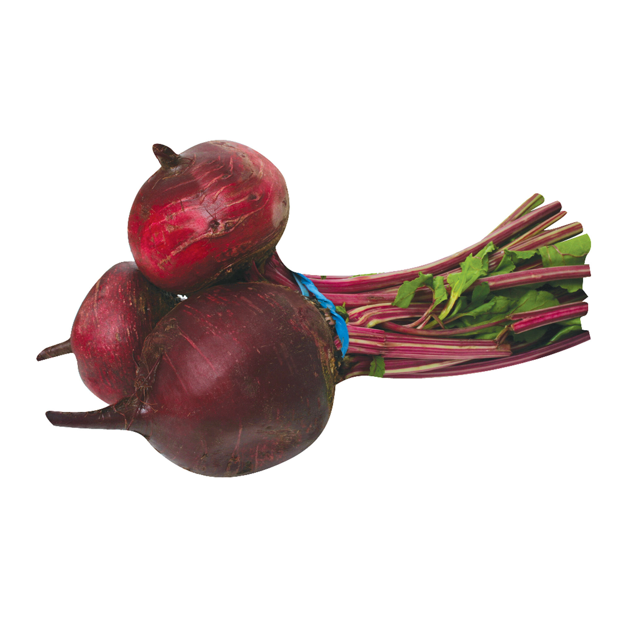 Betabel S/marca 1.0 Pza