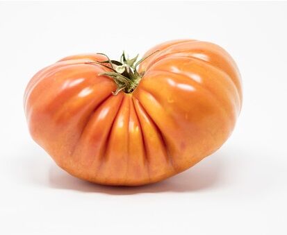 Tomate Heirloom Cengrow 1.0 Kg
