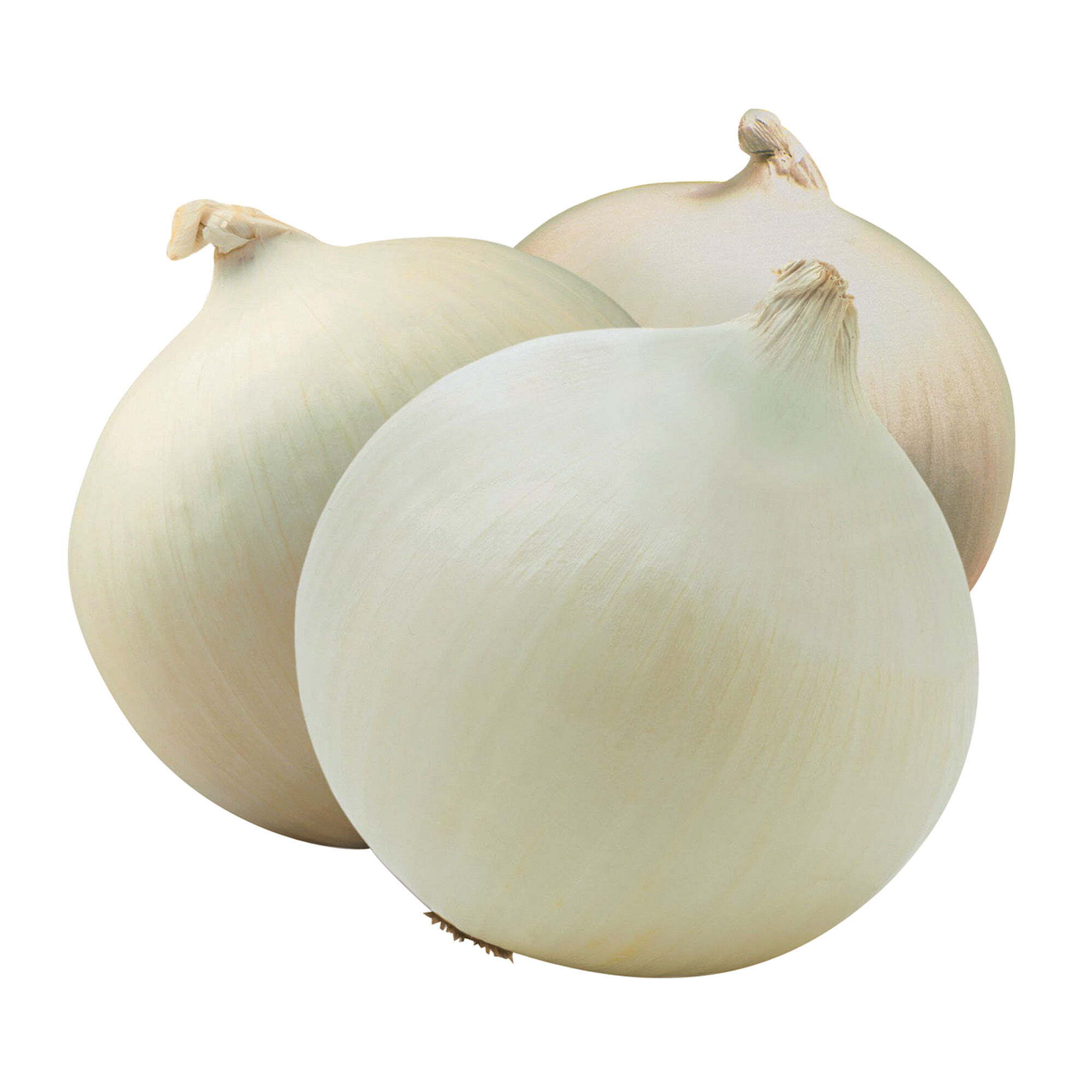 Cebolla Blanca Limpia S/marca 1.0 Kg