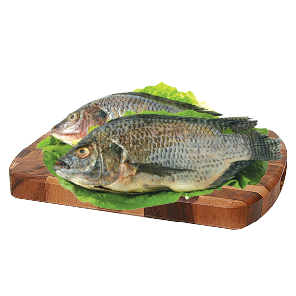 Mojarra Tilapia Entera 1.0 Kg