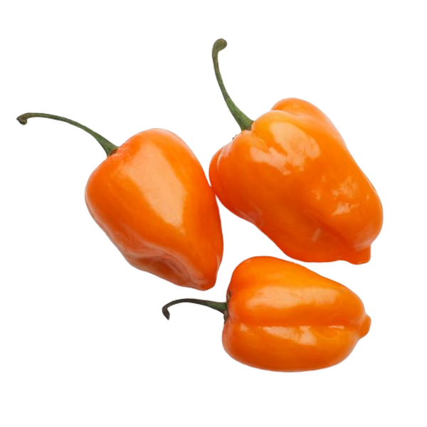Chile Habanero S/marca 1.0 Kg