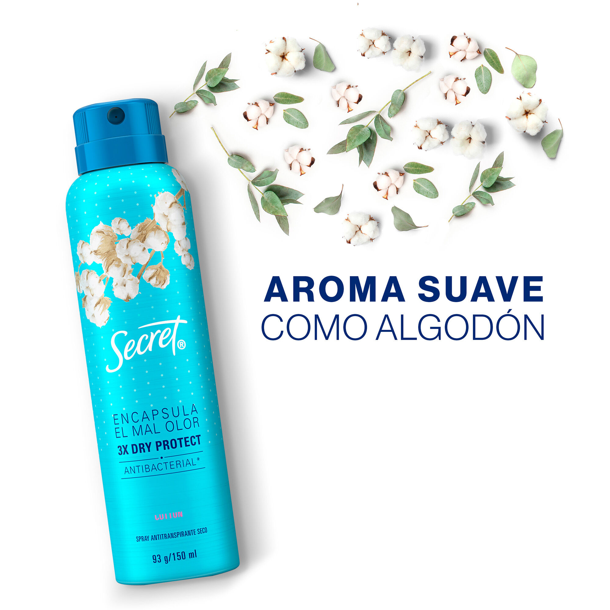 Deo Aerosol Powder Protect Secret 93.0 Gr