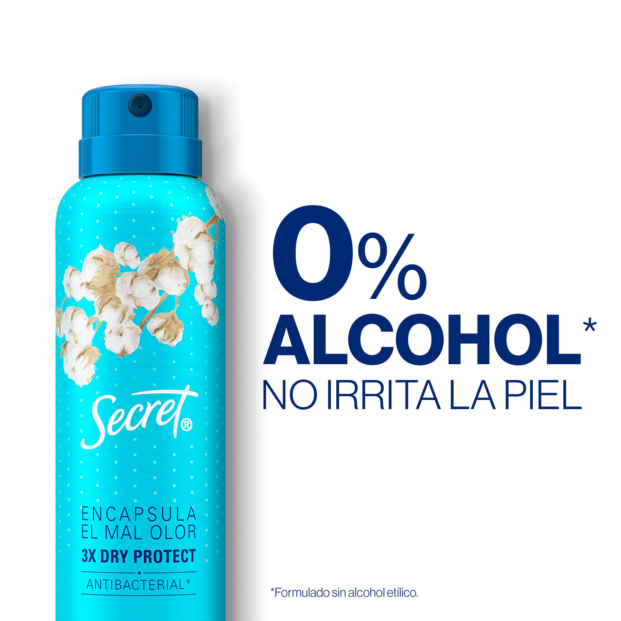 Deo Aerosol Powder Protect Secret 93.0 Gr