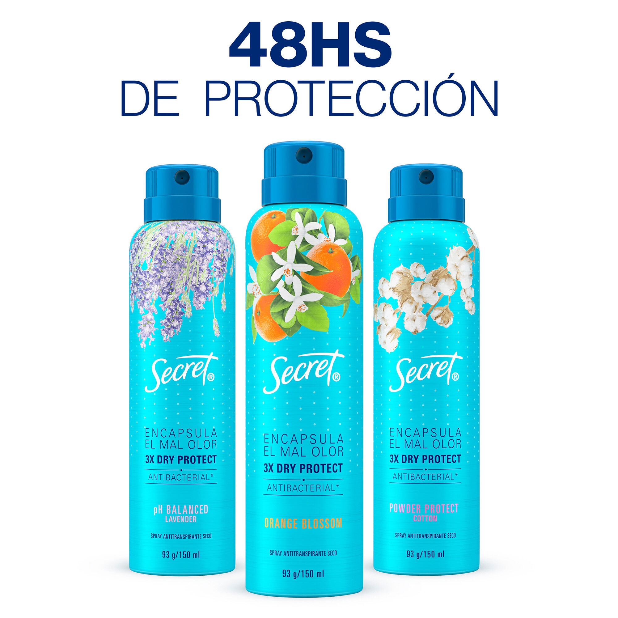 Deo Aerosol Ph Balanced Secret 93.0 Gr