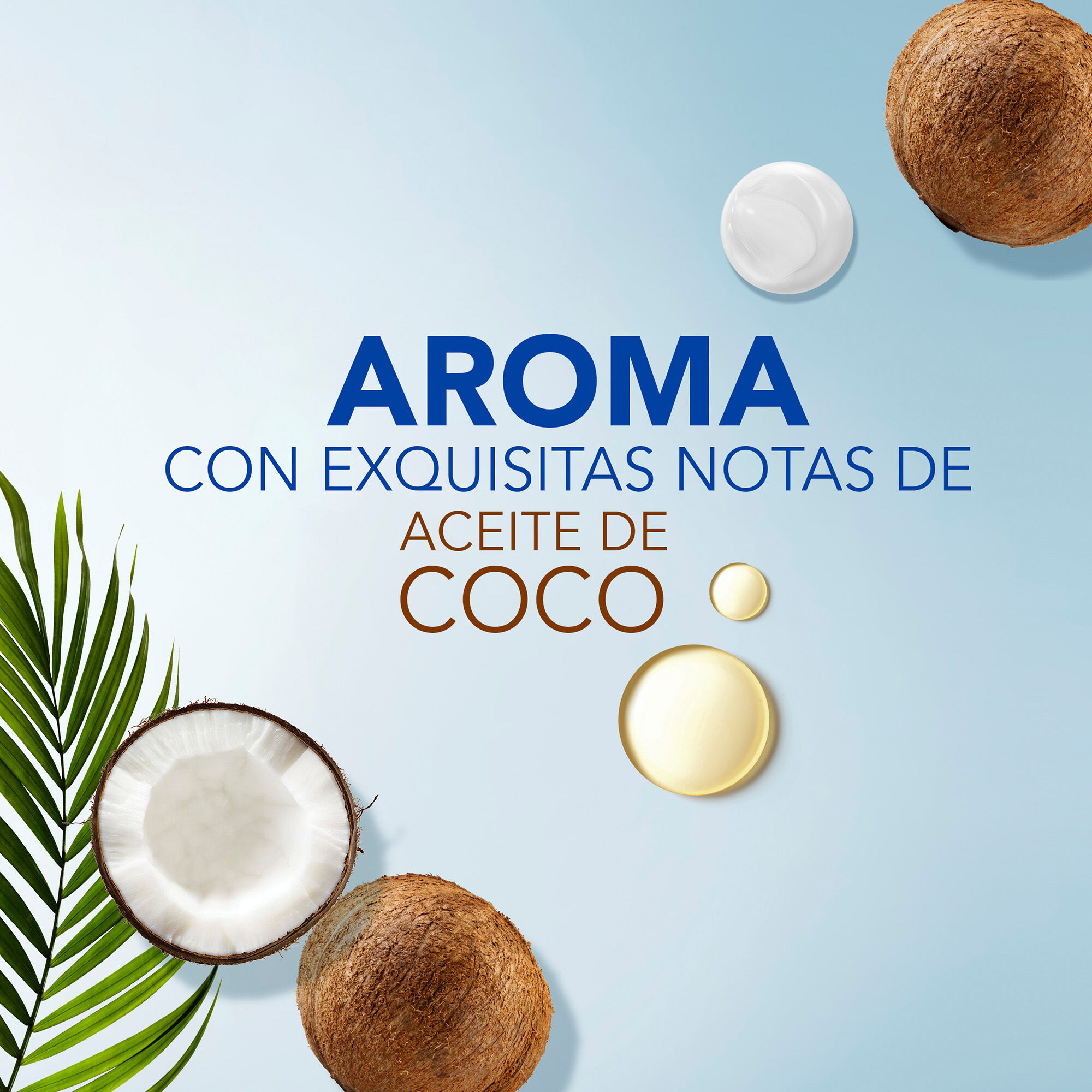 Shampoo Coconut Head&shoul 650.0 Ml
