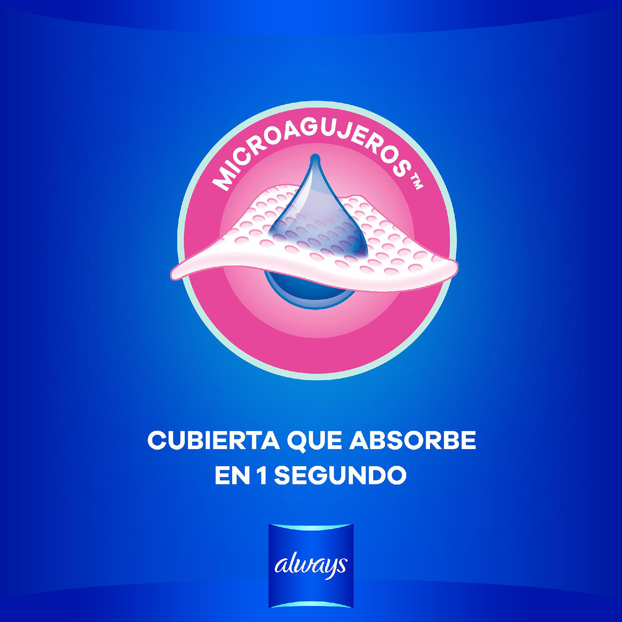 Toalla Femenina Con Alas Nocturna Larga Always 10.0 Pza