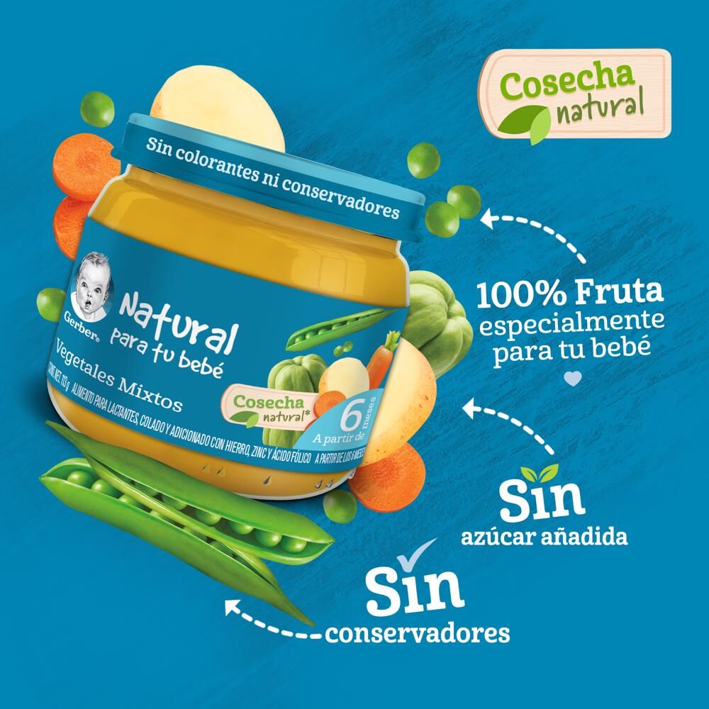 Papilla Veg Mix Eta 2 Gerber 113.0 Gr