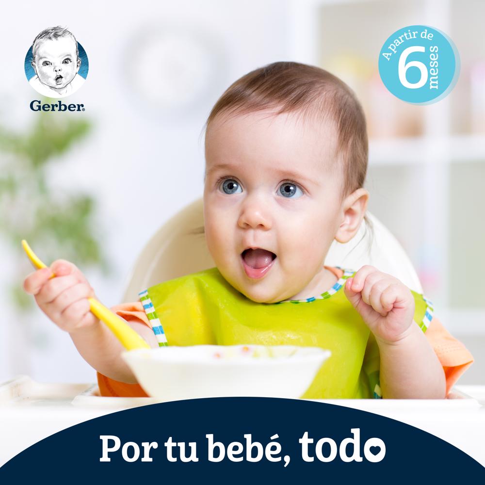 Papilla Veg Mix Eta 2 Gerber 113.0 Gr