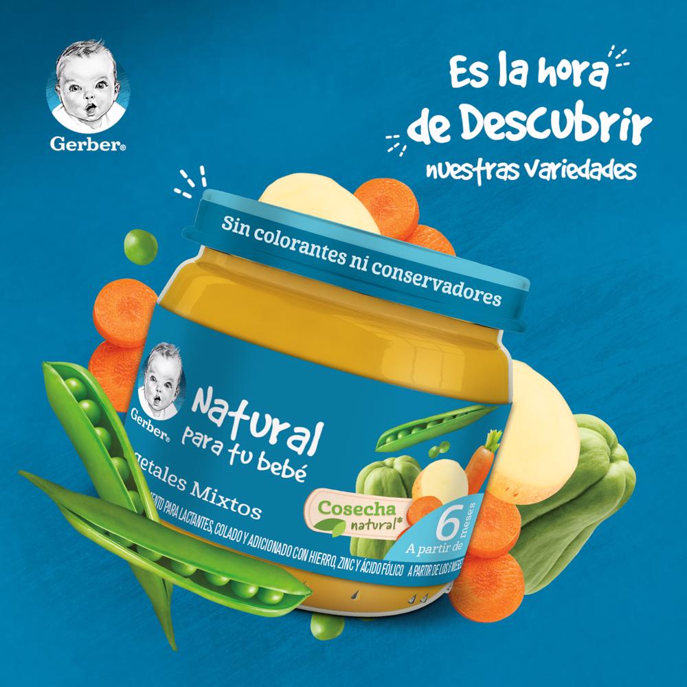 Papilla Veg Mix Eta 2 Gerber 113.0 Gr