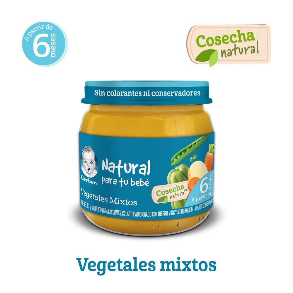 Papilla Veg Mix Eta 2 Gerber 113.0 Gr
