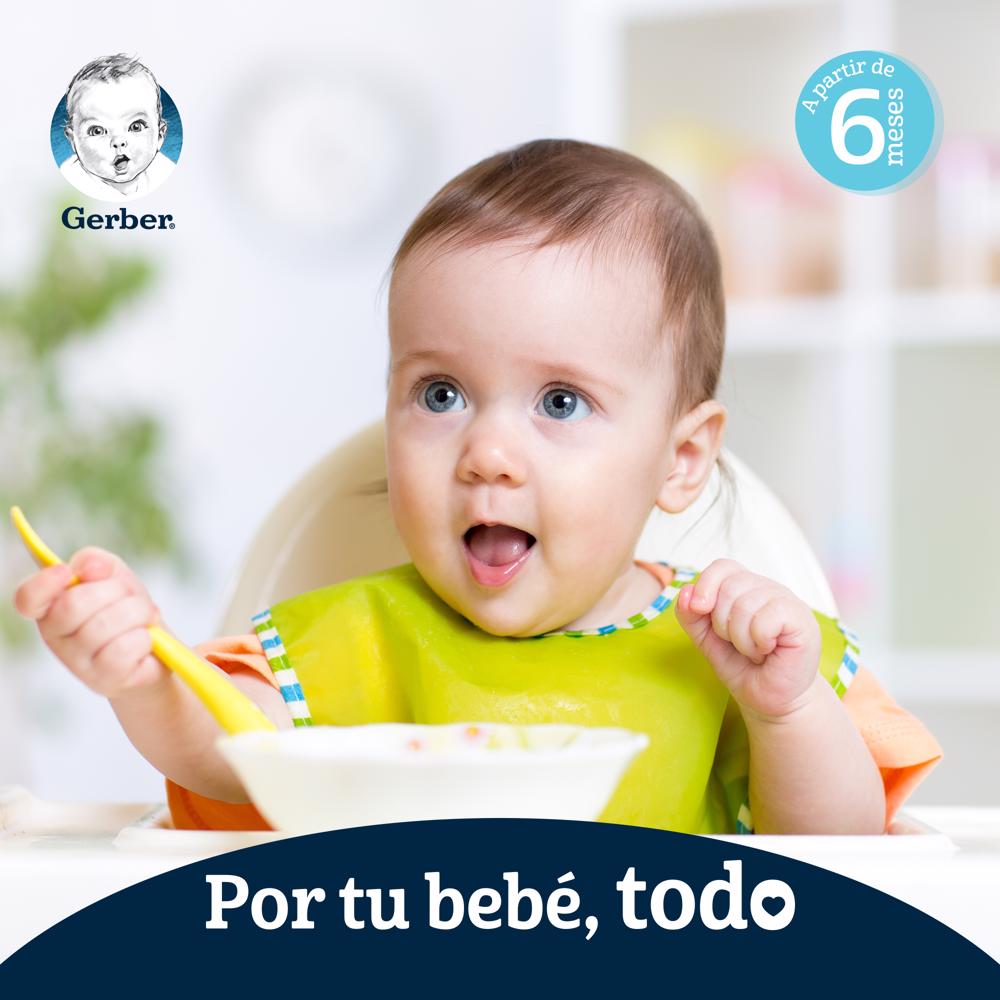 Postre Frutas 2da Eta Gerber 113.0 Gr