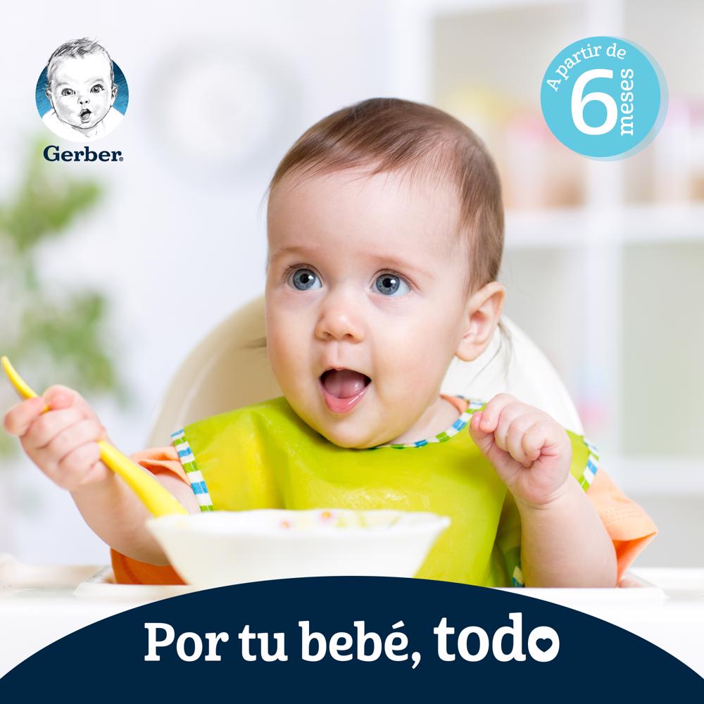 Papilla Platano Eta 2 Gerber 113.0 Gr