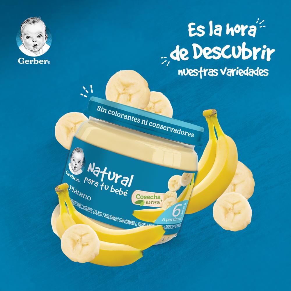 Papilla Platano Eta 2 Gerber 113.0 Gr