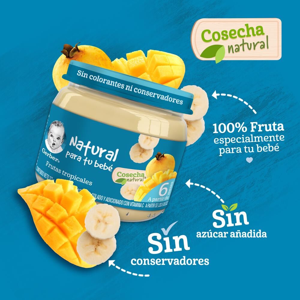 Papilla Fruta Tropical Eta 2 Gerber 113.0 Gr