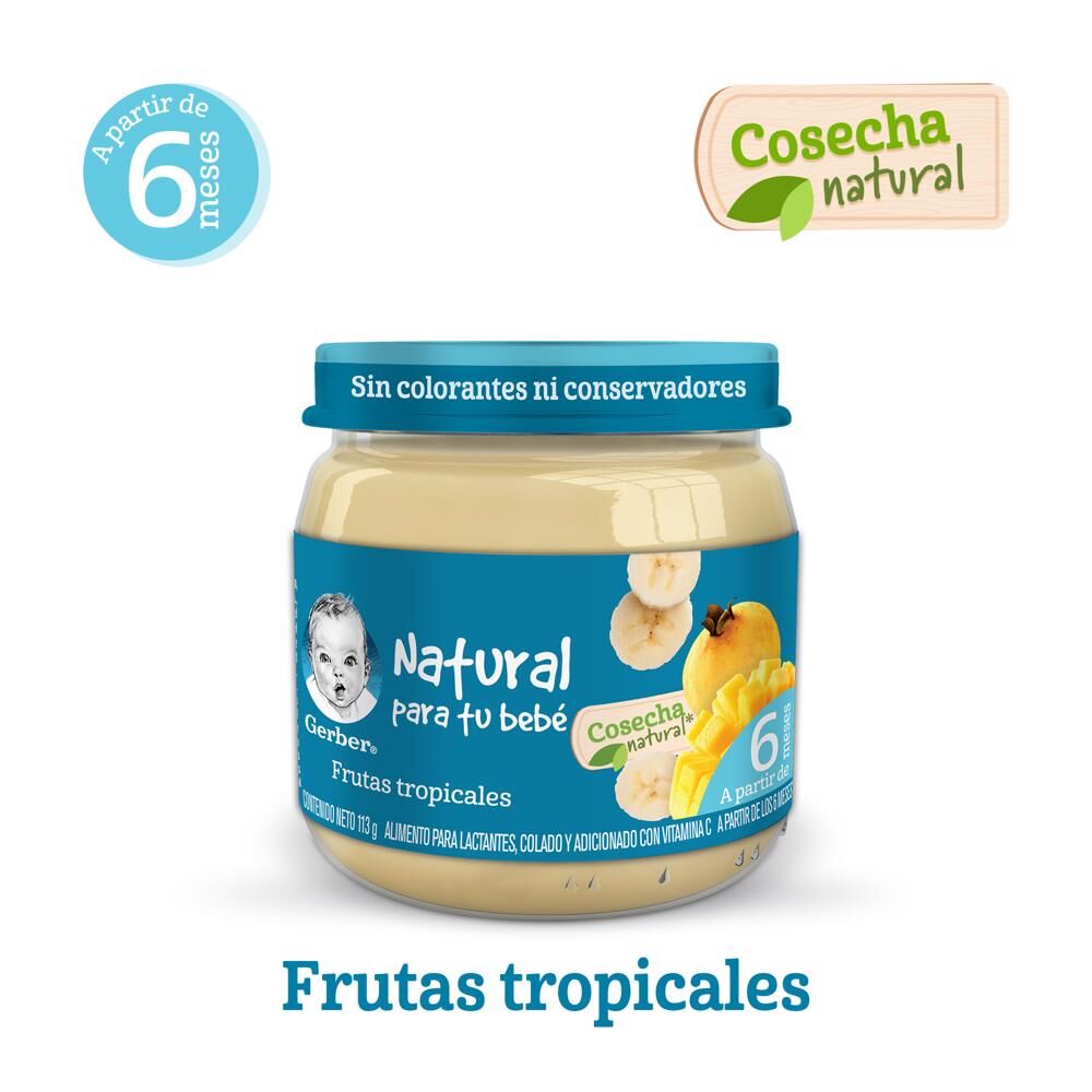 Papilla Fruta Tropical Eta 2 Gerber 113.0 Gr
