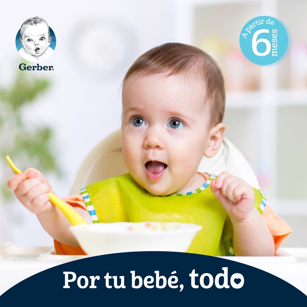 Papilla Mango Eta 2 Gerber 113.0 Gr