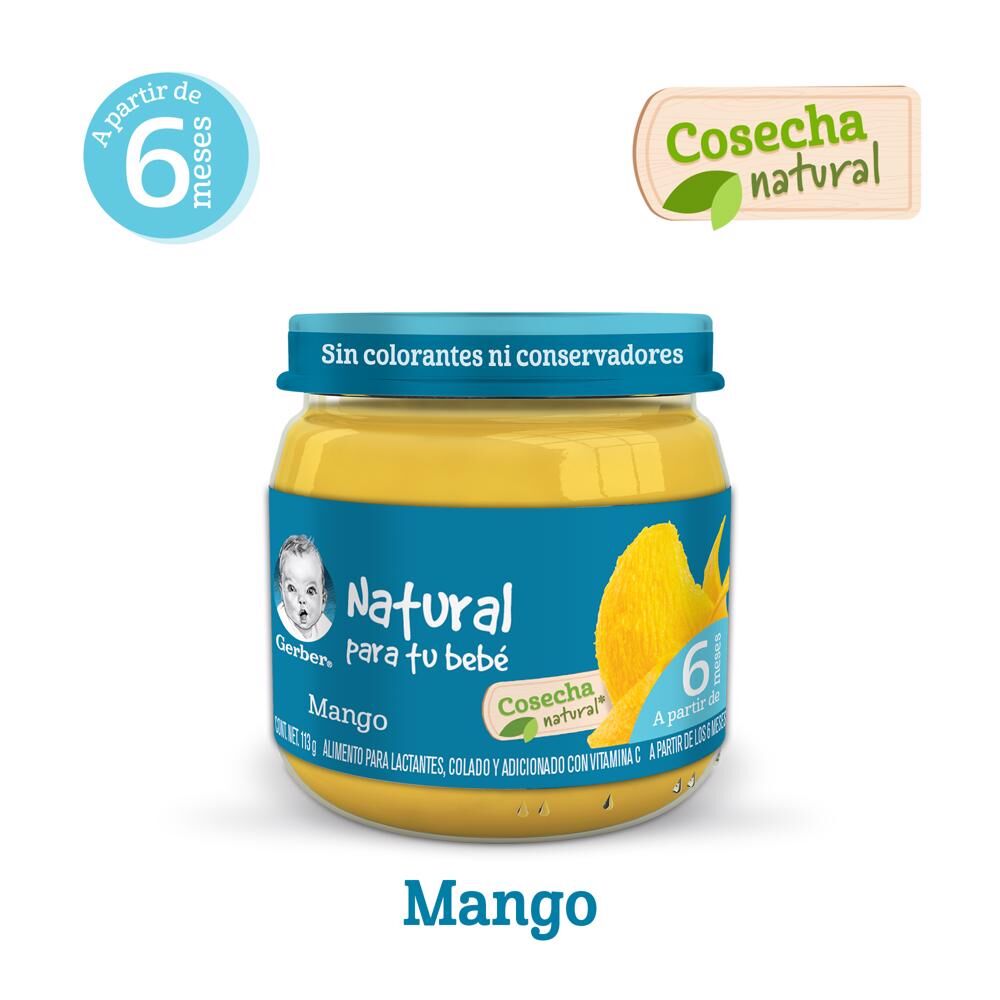 Papilla Mango Eta 2 Gerber 113.0 Gr