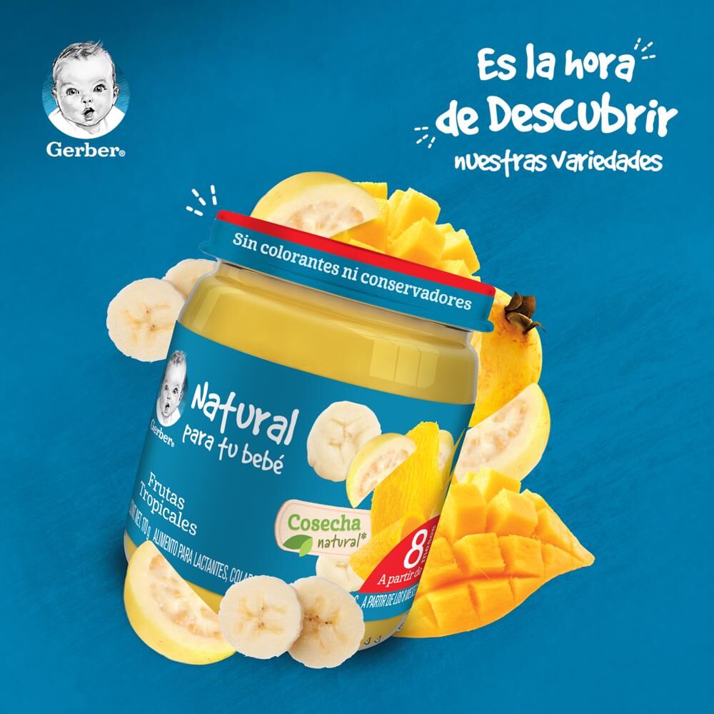Papilla Fruta Tropical Eta 3 Gerber 170.0 Gr