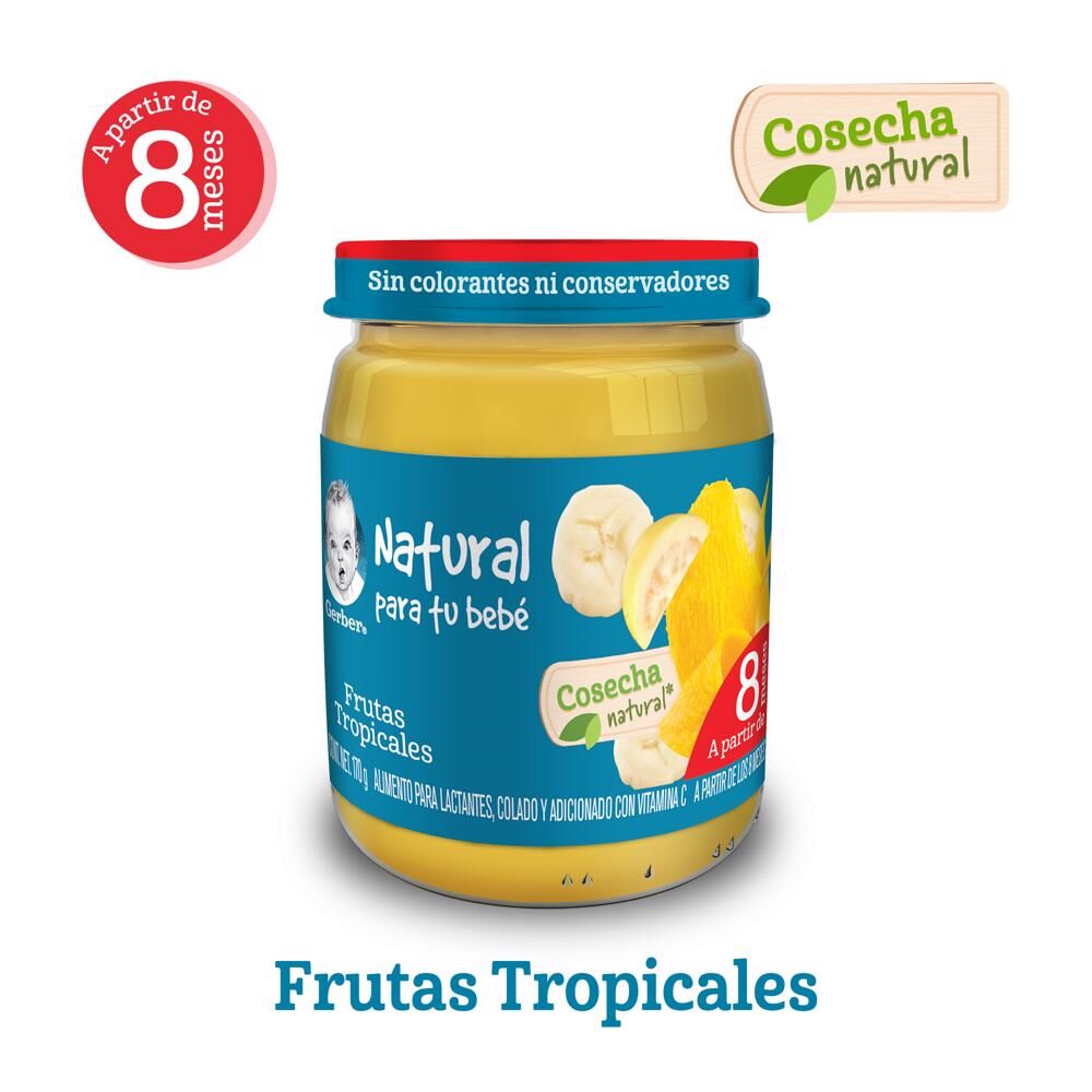 Papilla Fruta Tropical Eta 3 Gerber 170.0 Gr