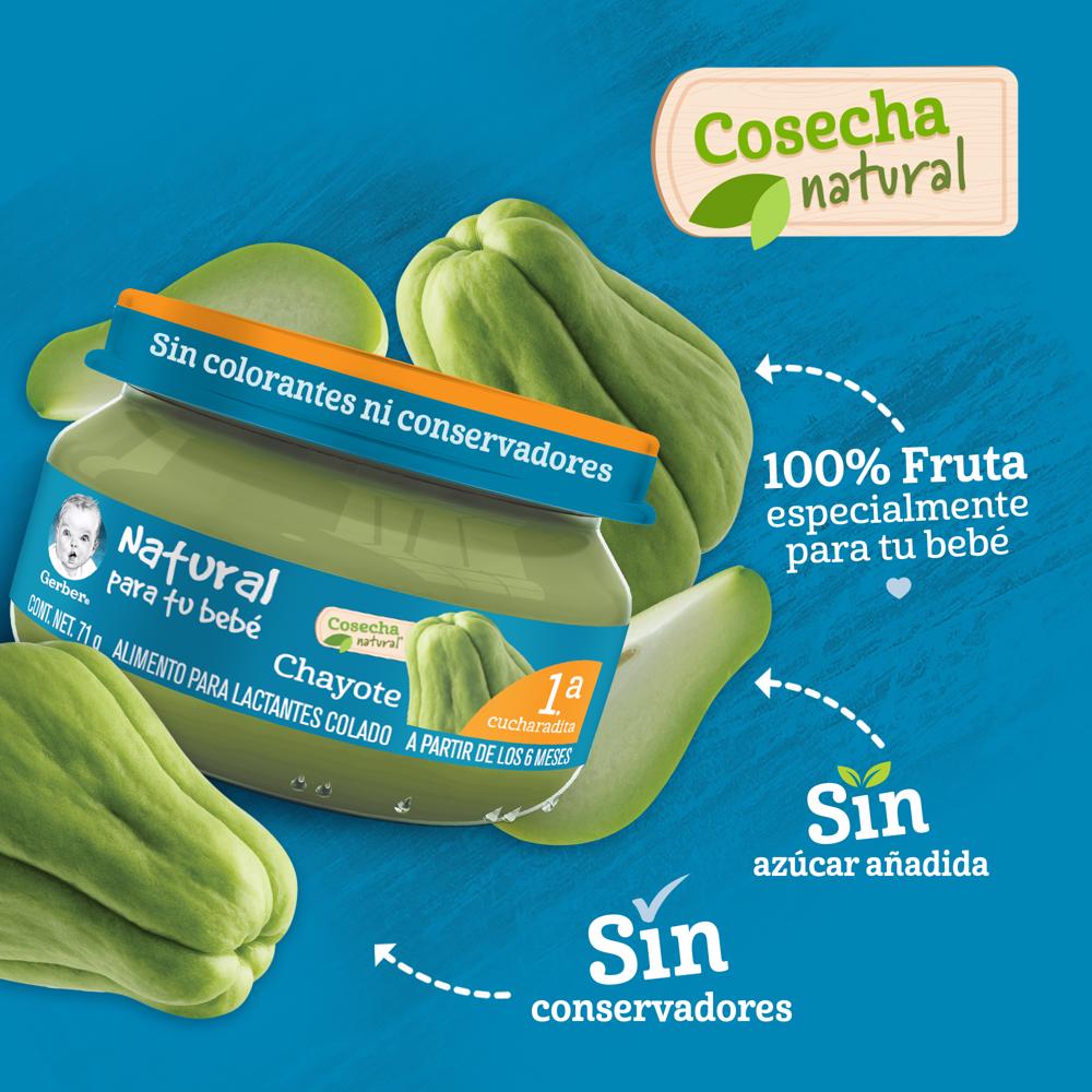 Papilla Chayote Eta 1 Gerber 71.0 Gr