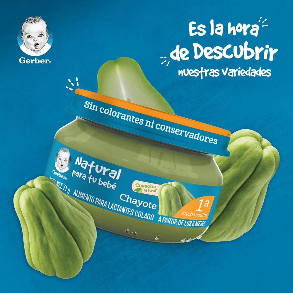 Papilla Chayote Eta 1 Gerber 71.0 Gr