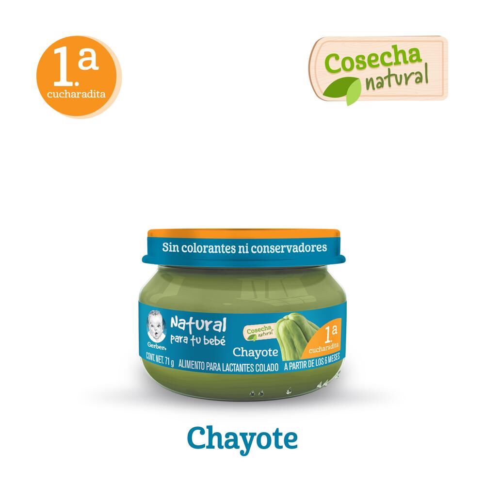 Papilla Chayote Eta 1 Gerber 71.0 Gr