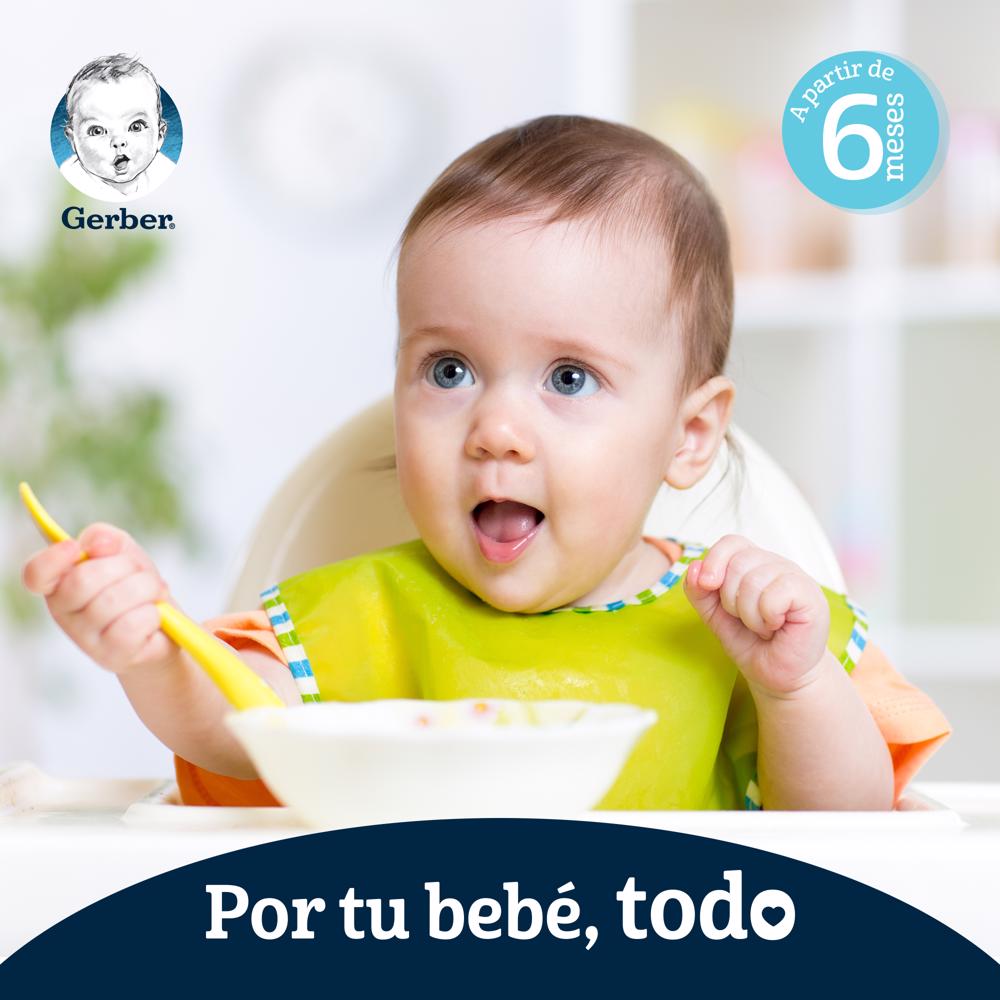 Papilla Chayote Eta 3 Gerber 113.0 Gr
