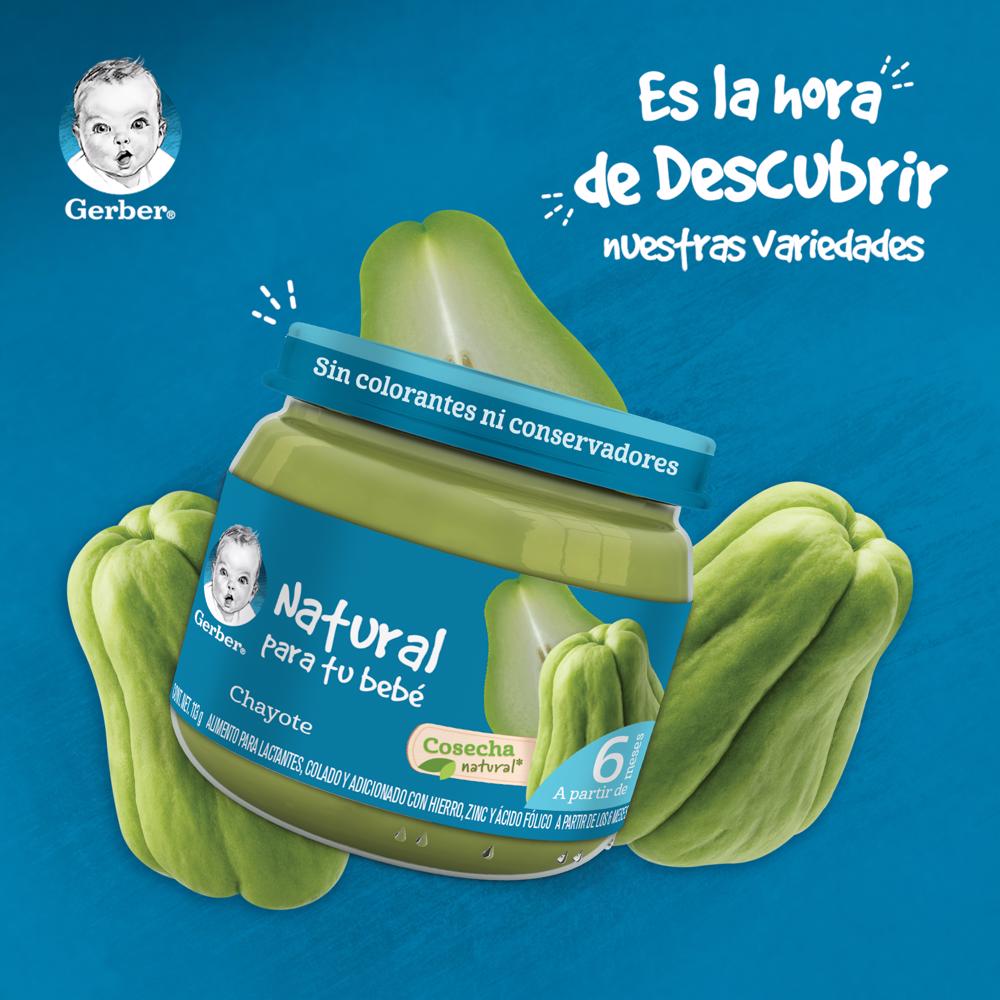 Papilla Chayote Eta 3 Gerber 113.0 Gr