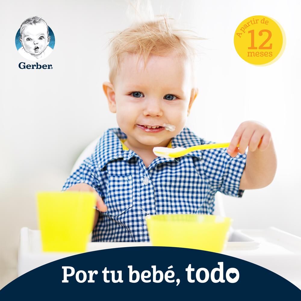 Papilla Pure Pasta Gerber Jr 250.0 Gr