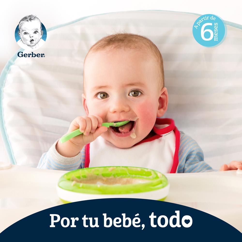 Pouch Organico Manzana Gerber 100.0 Gr