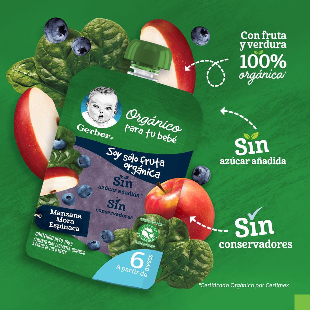 Pouch Organico Mora Azul Espinaca Manzana Gerber 100.0