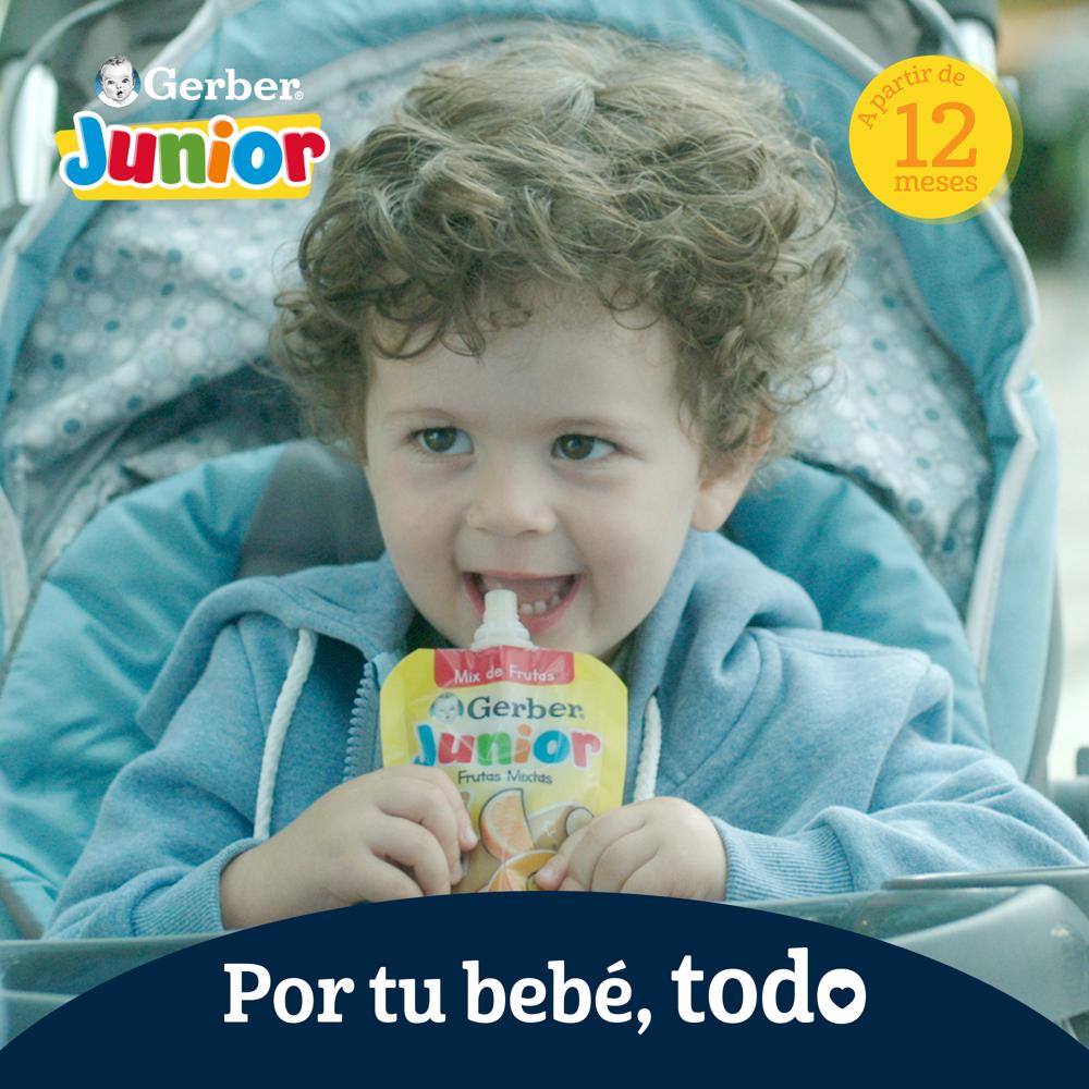 Snacks Junior Tostaditas Con Chile Gerber 20.0 Gr