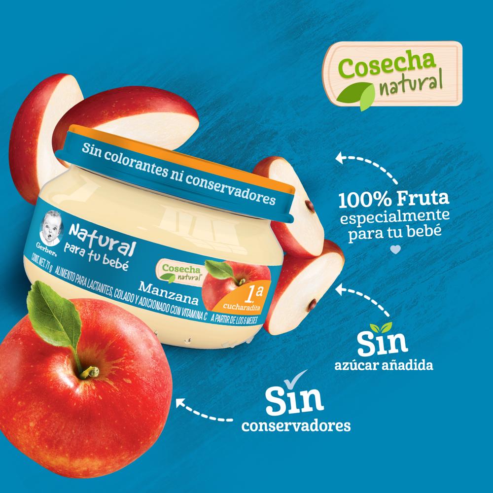 Papilla Manzana Eta 1 Gerber 71.0 Gr