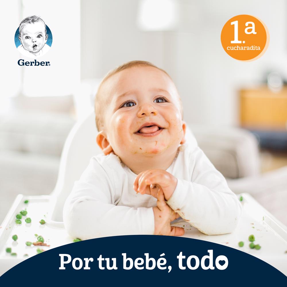 Papilla Manzana Eta 1 Gerber 71.0 Gr