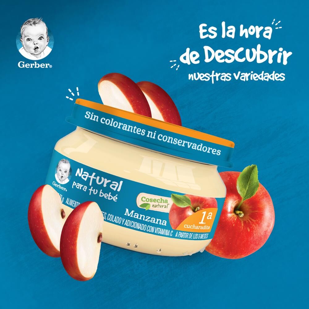 Papilla Manzana Eta 1 Gerber 71.0 Gr