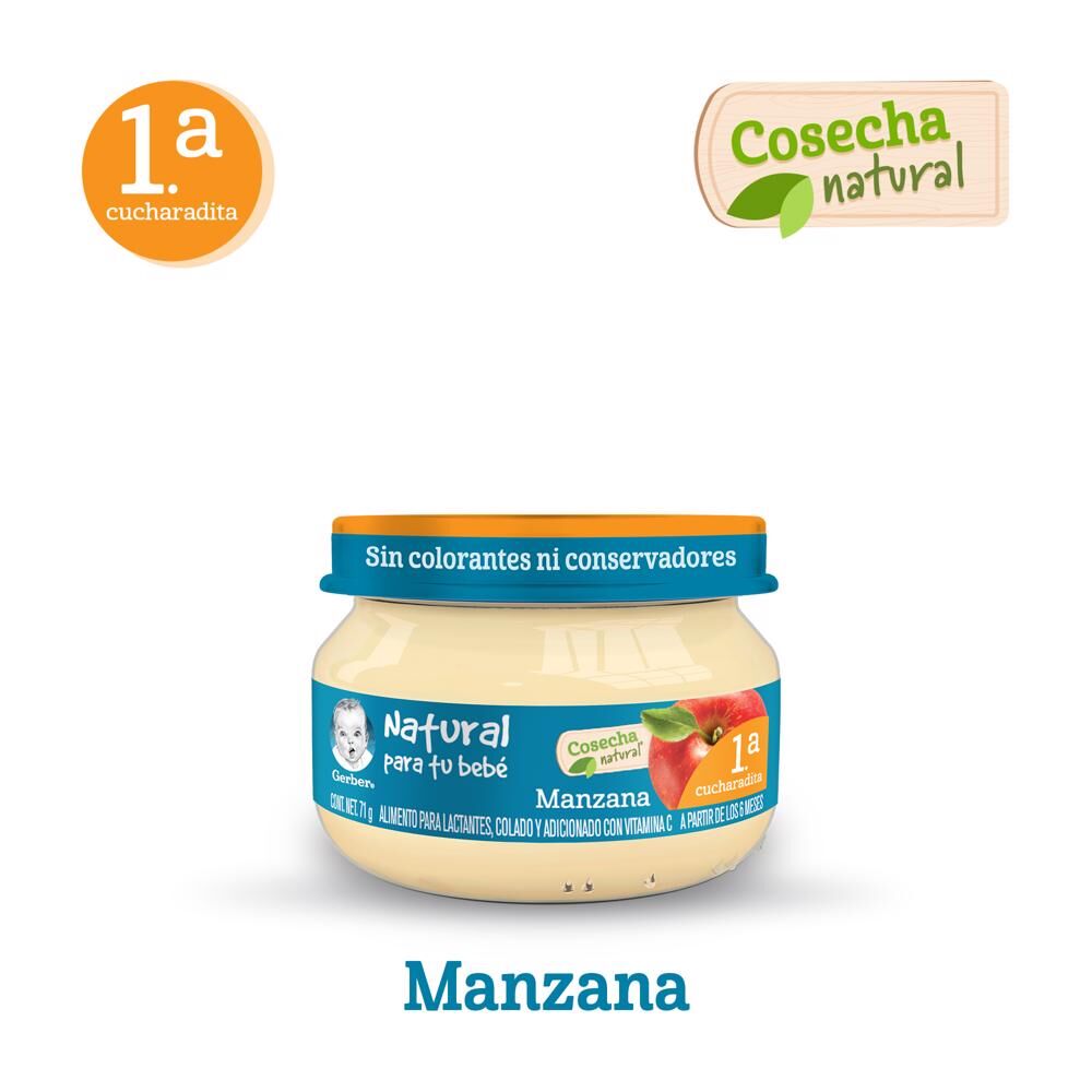 Papilla Manzana Eta 1 Gerber 71.0 Gr