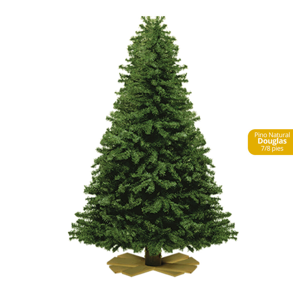 Arbol Navideño Natural Douglas 7/8 Pies Douglas #1 1