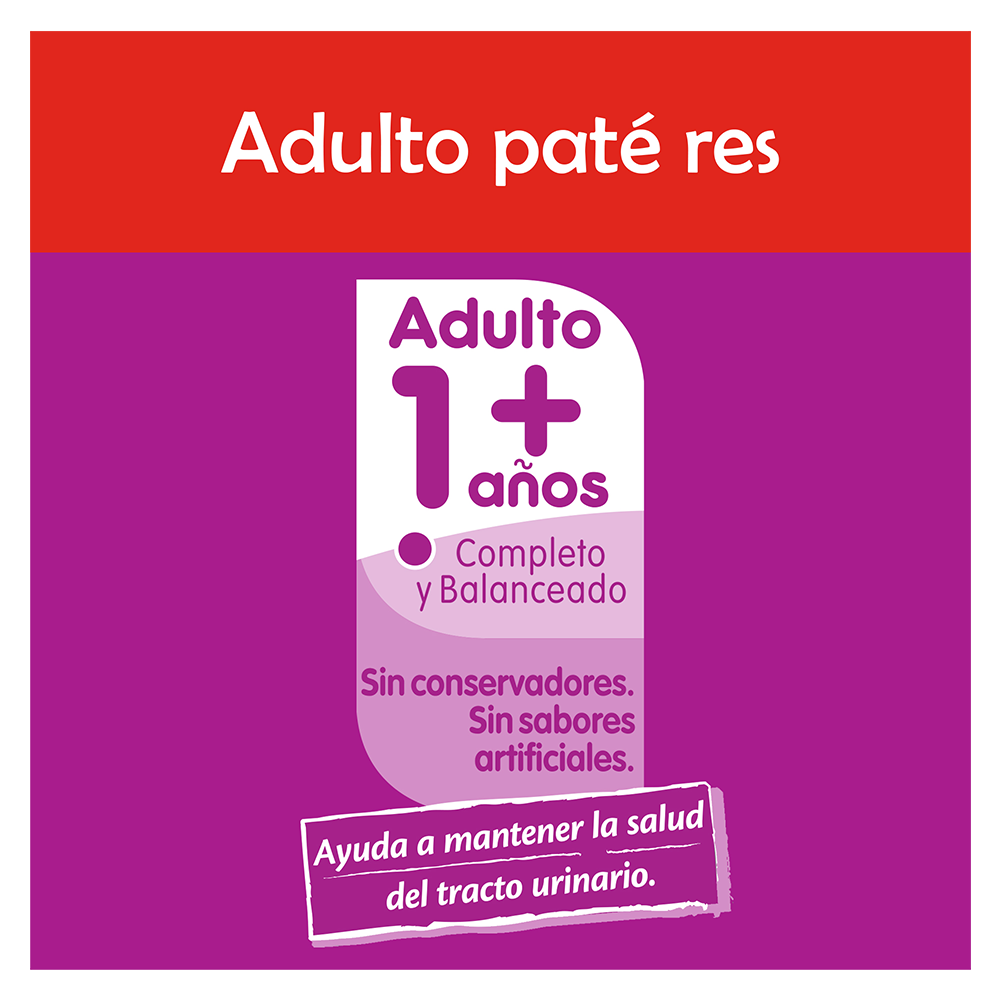 Comida Gato Estofado Whiskas 350.0 Gr