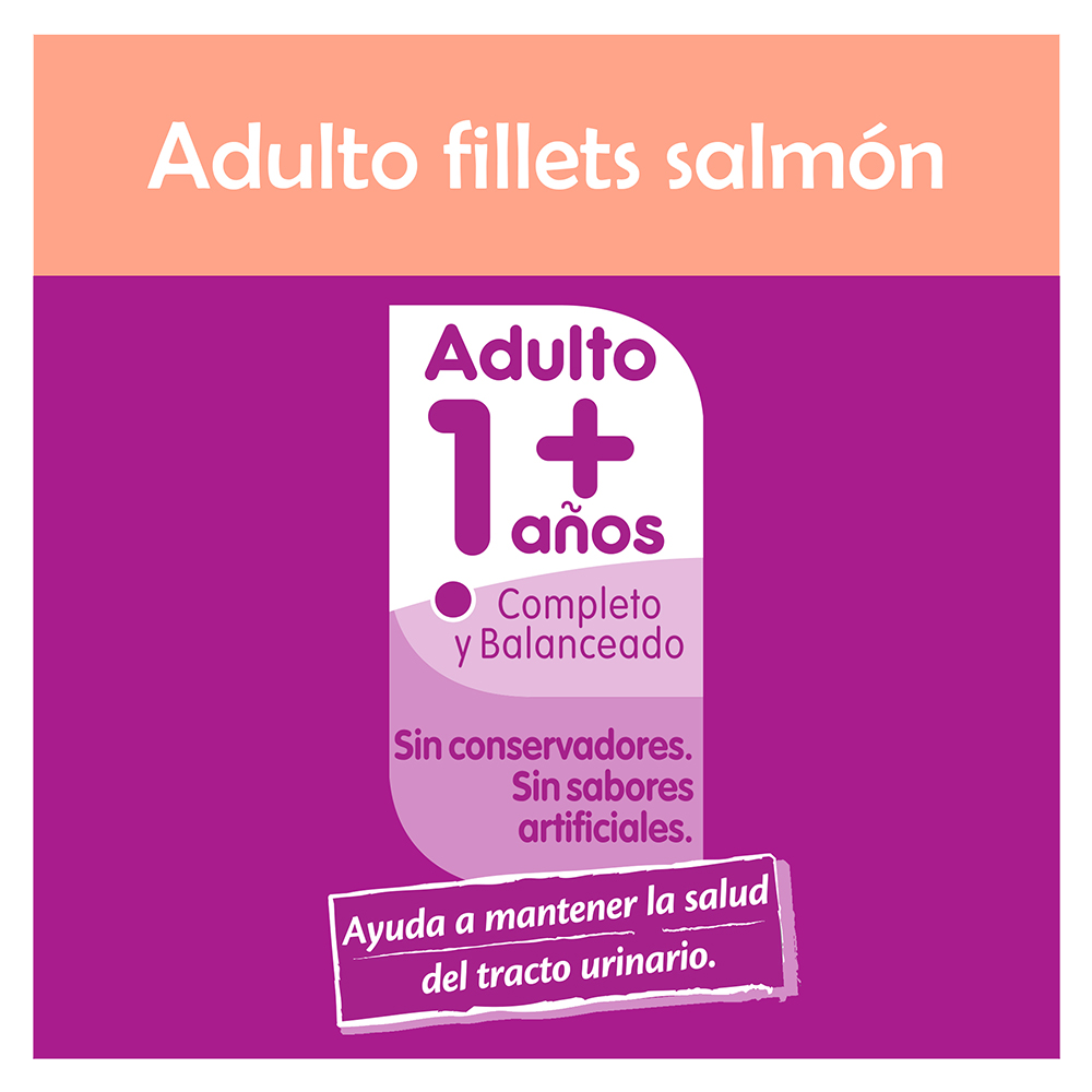 Comida Gato Salmon Whiskas 85.0 Gr