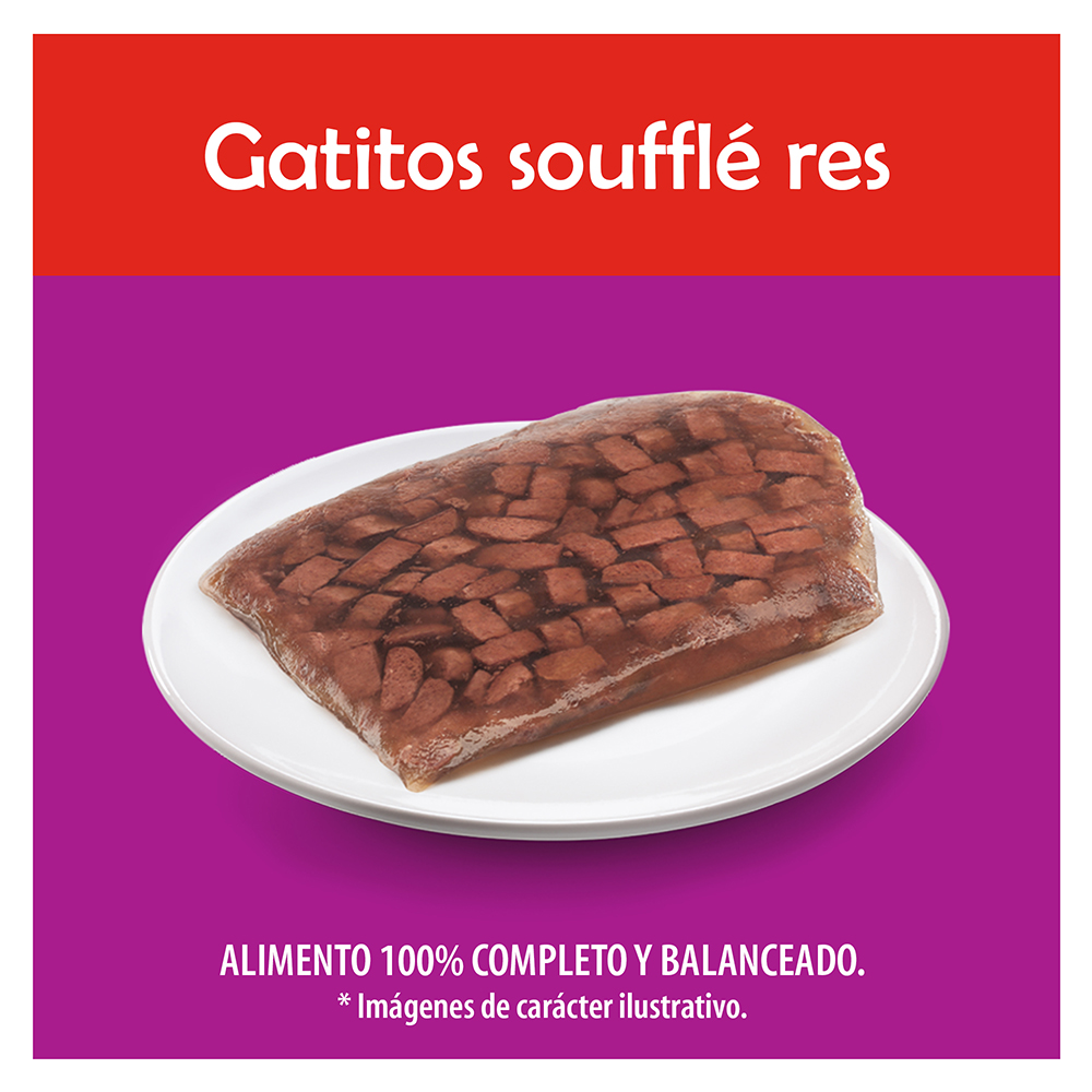 Comida Gato Jelly Pouch Res Gatitos Whiskas 85.0 Gr