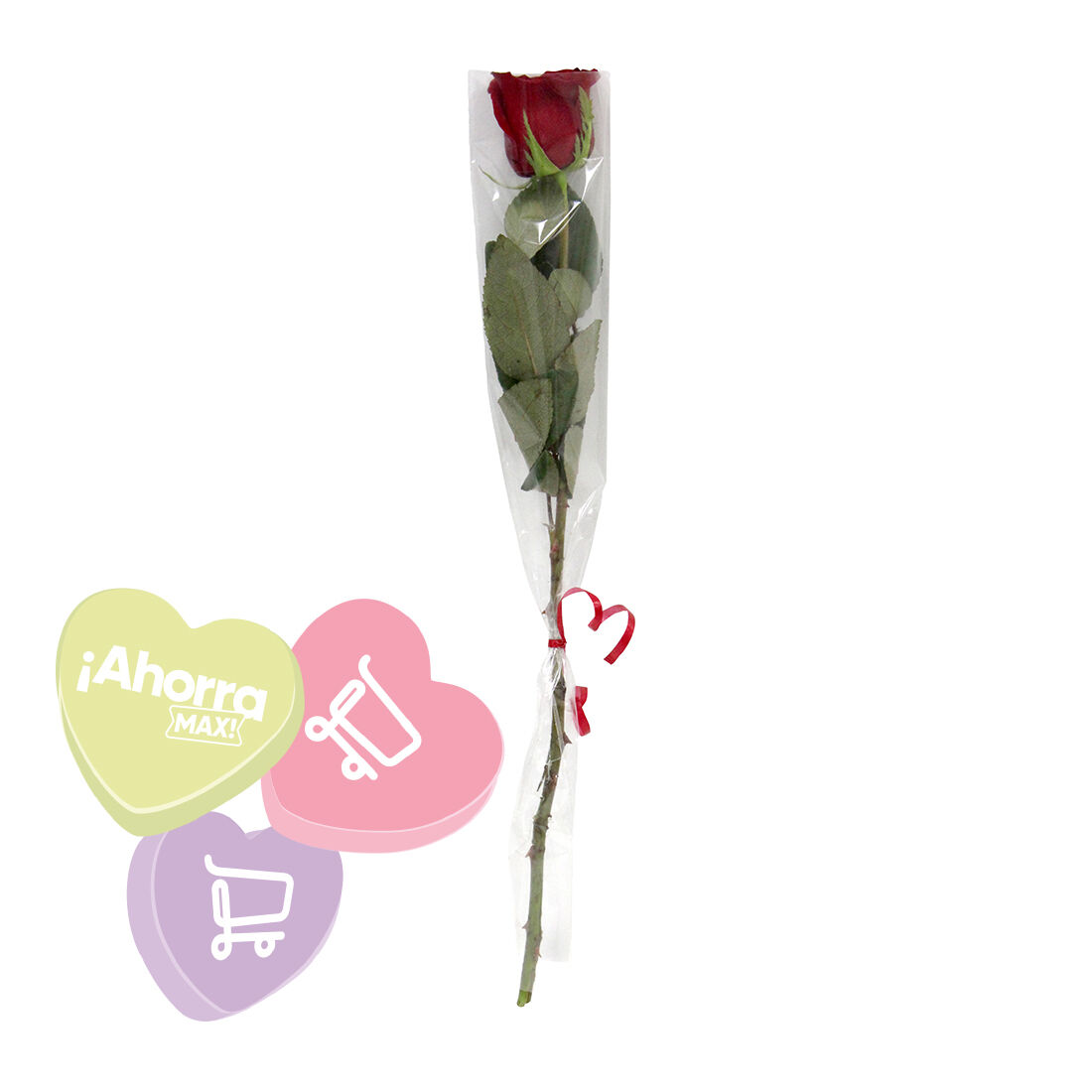 Rosa Natural S/m 1.0 Pza