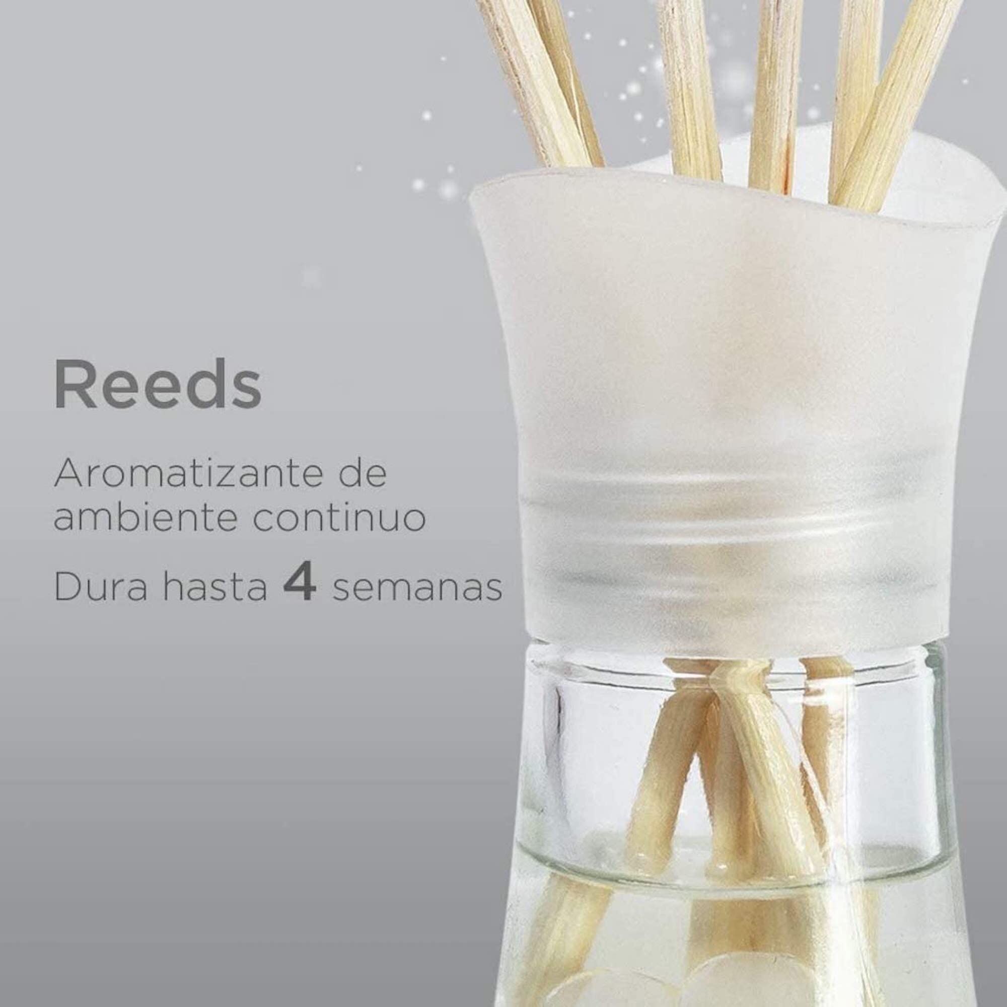 Reed Diffuser Manzana Canela Air Wick 1.0 Pza