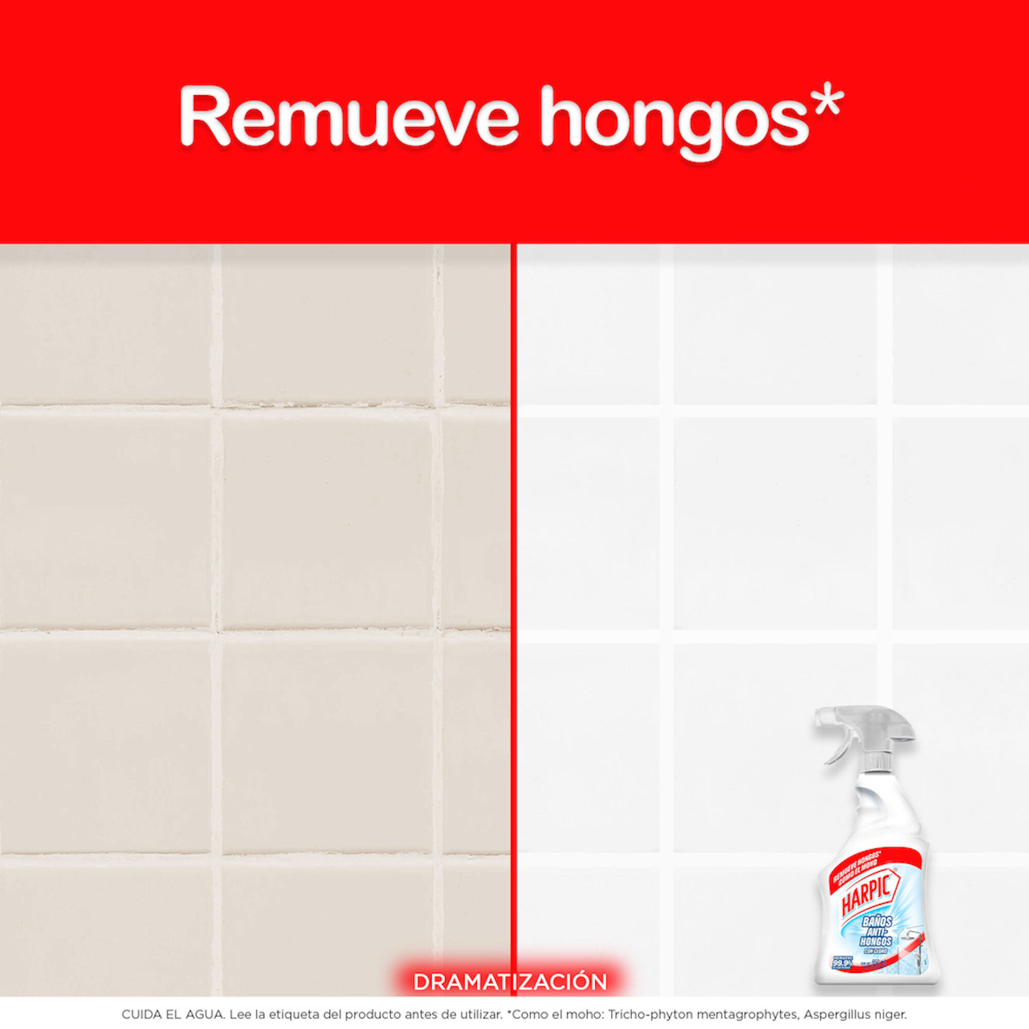 Limpiador Baño Anti Hongos Harpic 650.0 Ml