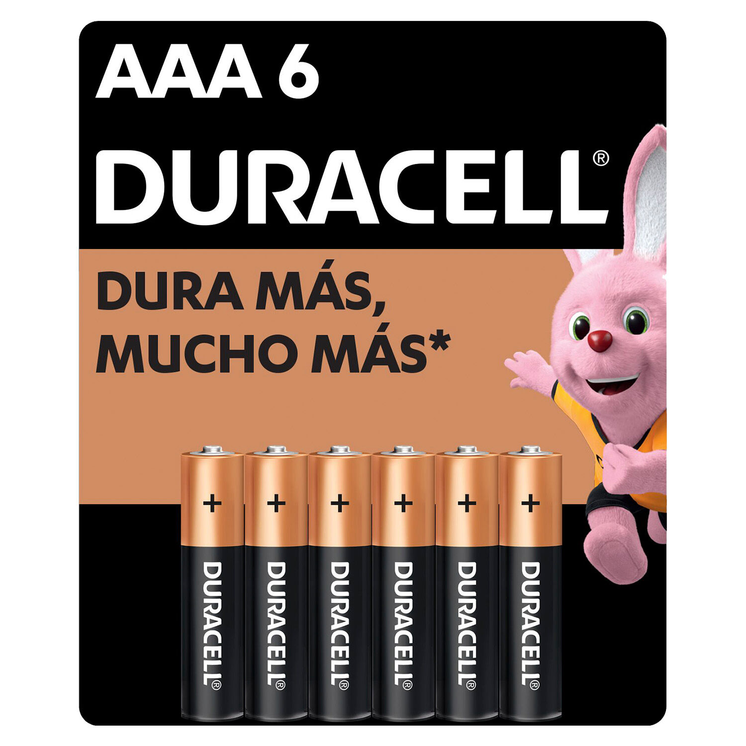 Pila Alcalina Aaa 4+2 Gratis Duracell 6.0 Pza