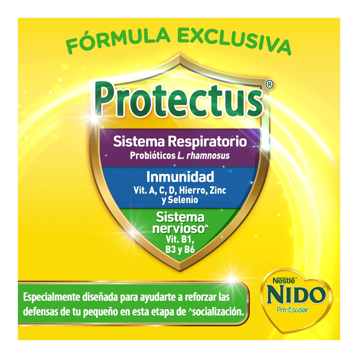 Leche Polvo Pre Escolar 2+ Nido 800.0 Gr